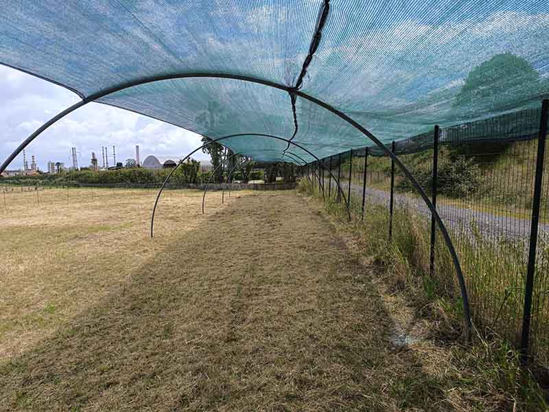 Garage Italia - Porto Milazzo Posti auto sotto tettoia Garage Italia - Porto Milazzo