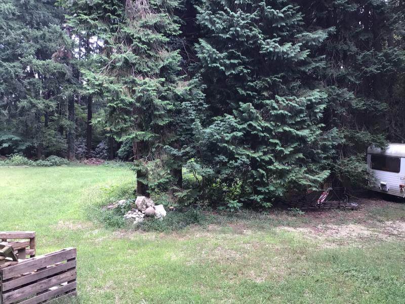 Le Resinose - Piazzole camper Lombardia Bosco Le Resinose
