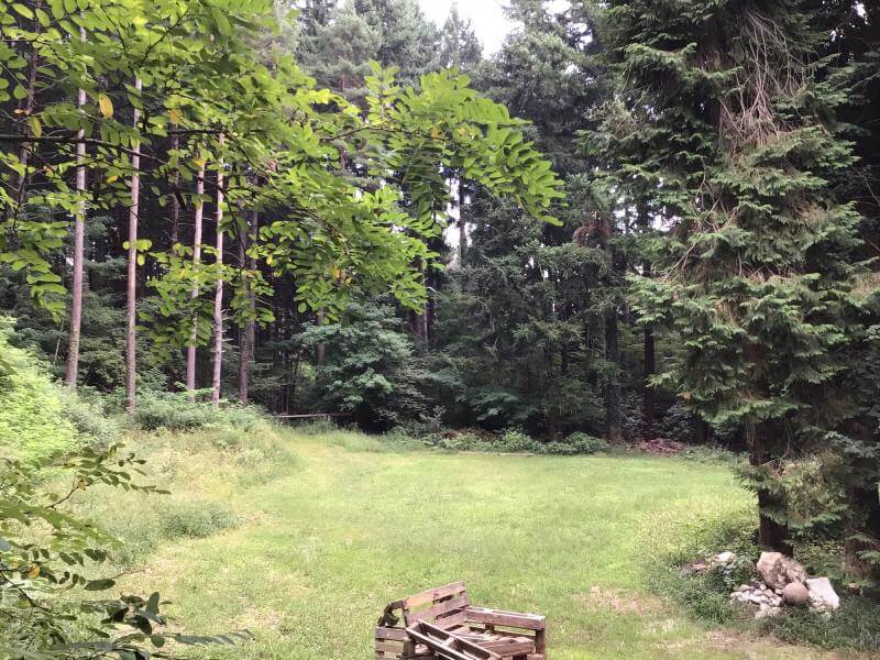 Le Resinose - Piazzole camper Lombardia Bosco Le Resinose